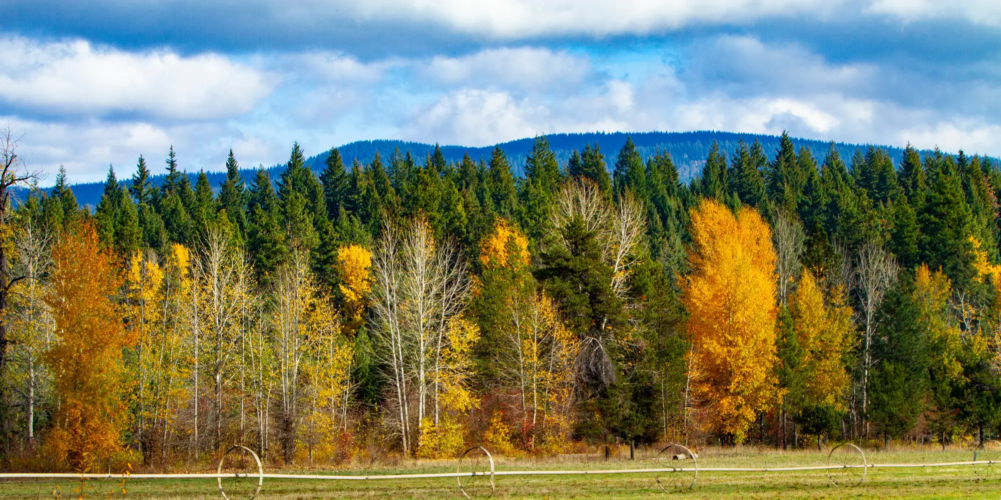 Want to Save $1000s on Your Mortgage